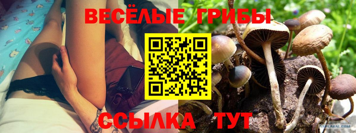 Псилоцибиновые грибы мухоморы  Вход с VPN  Галлюциногенные грибы прущие грибы  Когалым 